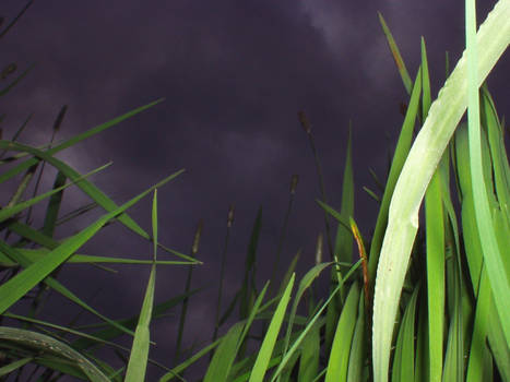 low angle stormy sky