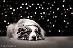 SADNESS by aussiefoto