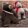 Merry Christmas,Bear