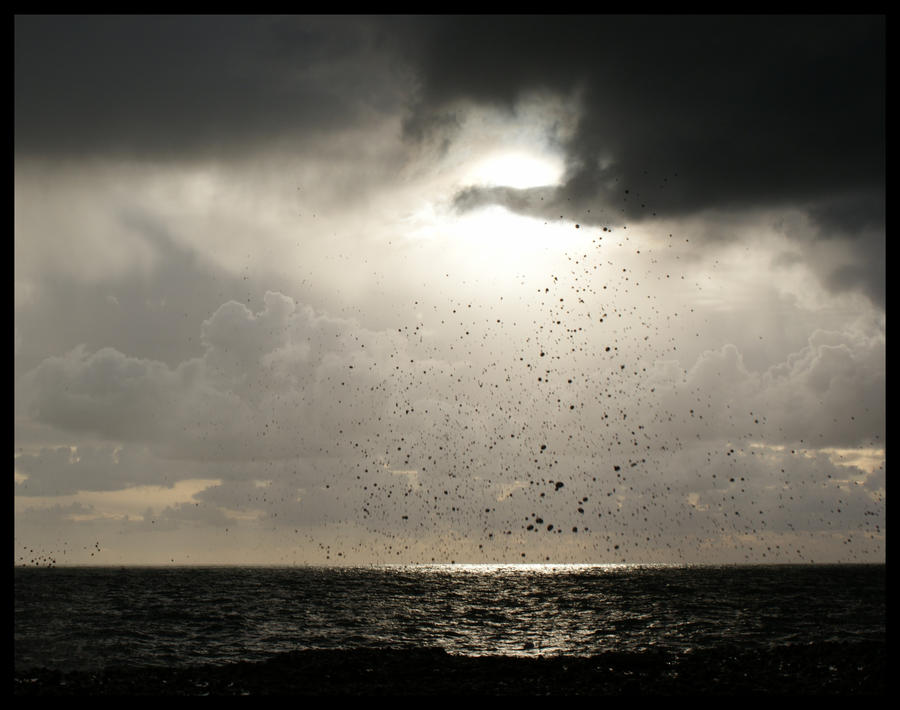 Stormy Sea