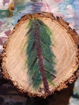 Pine Tree on Pine Tree Slice