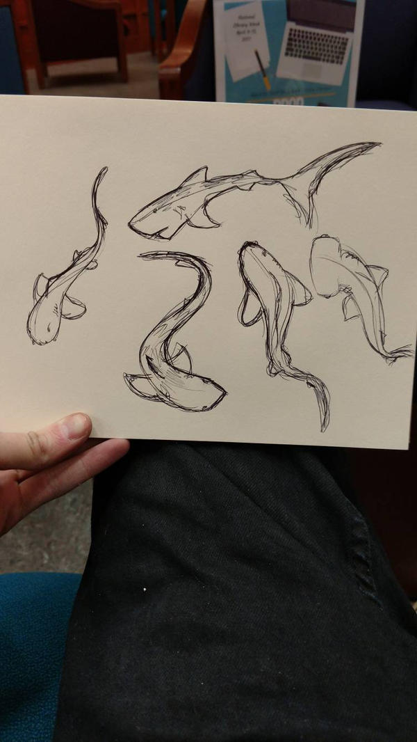 Shark doodles by QuillsArt22 on DeviantArt