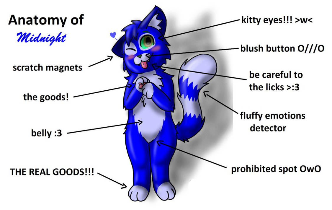 The Anatomy of a Midnight Inferno