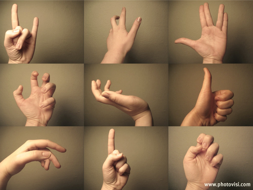Hand References By Misuto3 On Deviantart Hand References By Misuto3 On Deviantart