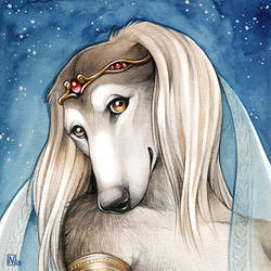 Saluki Princess