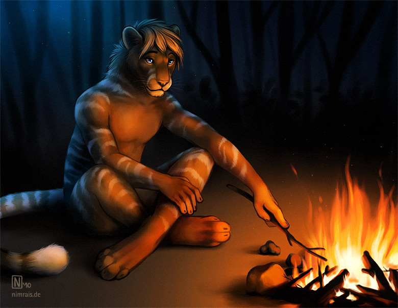 By The Campfire