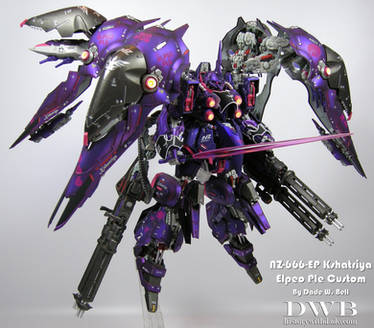 NZ-666-EP Kshatriya Elpeo Ple Custom 1