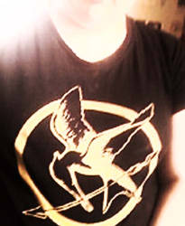 The Hunger Games Shirt