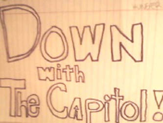 The Hunger Games Down With The Capitol