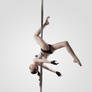 Pole art 8 - My edit