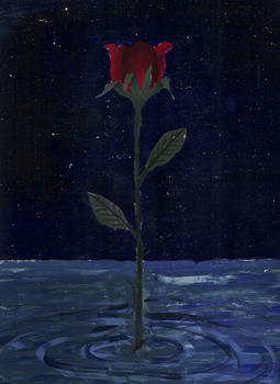 Falling Red Rose