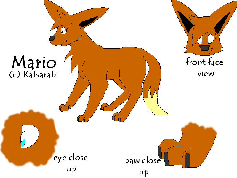 Mario reference sheet by KatPocketMonster on DeviantArt