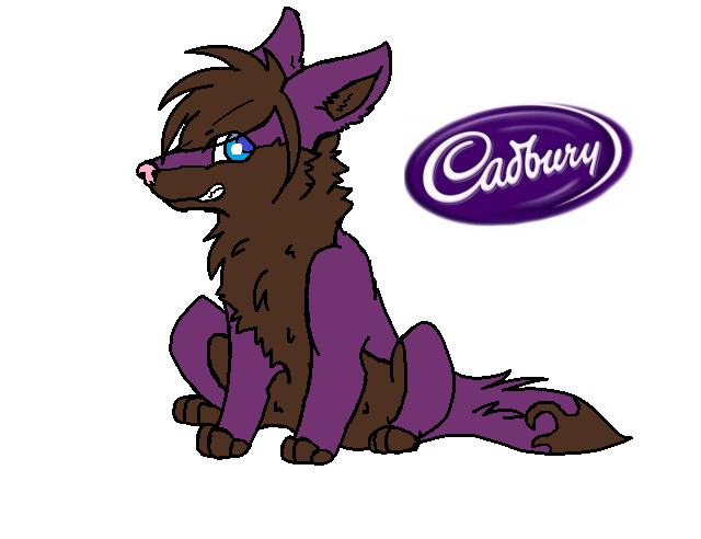 ADOPTABLE- Cadbury Wolf