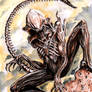 Predalien - Alien