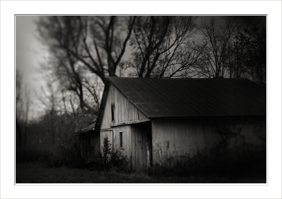 Old wood, old light.