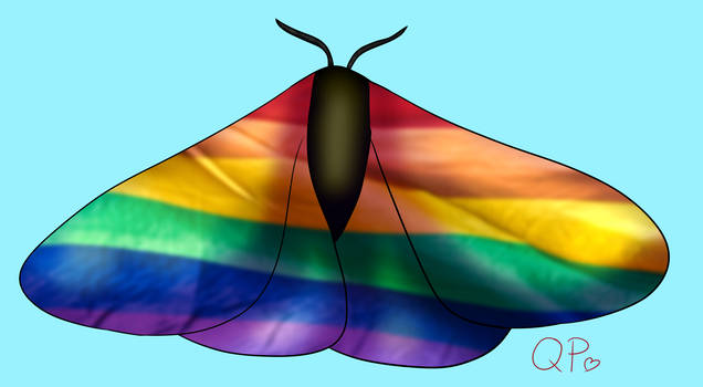 Pride Insects Explore the Best Happypridemoth Art | DeviantArt
