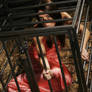 caged 23