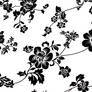 Flower-Texture