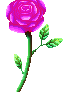 Purple Rose|{F2U}