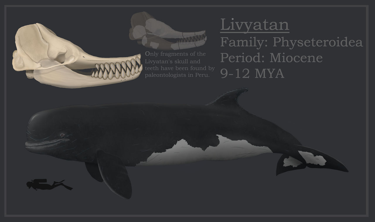 Livyatan By EvgeniH On DeviantArt livyatan-by-evgenih-on-deviantart