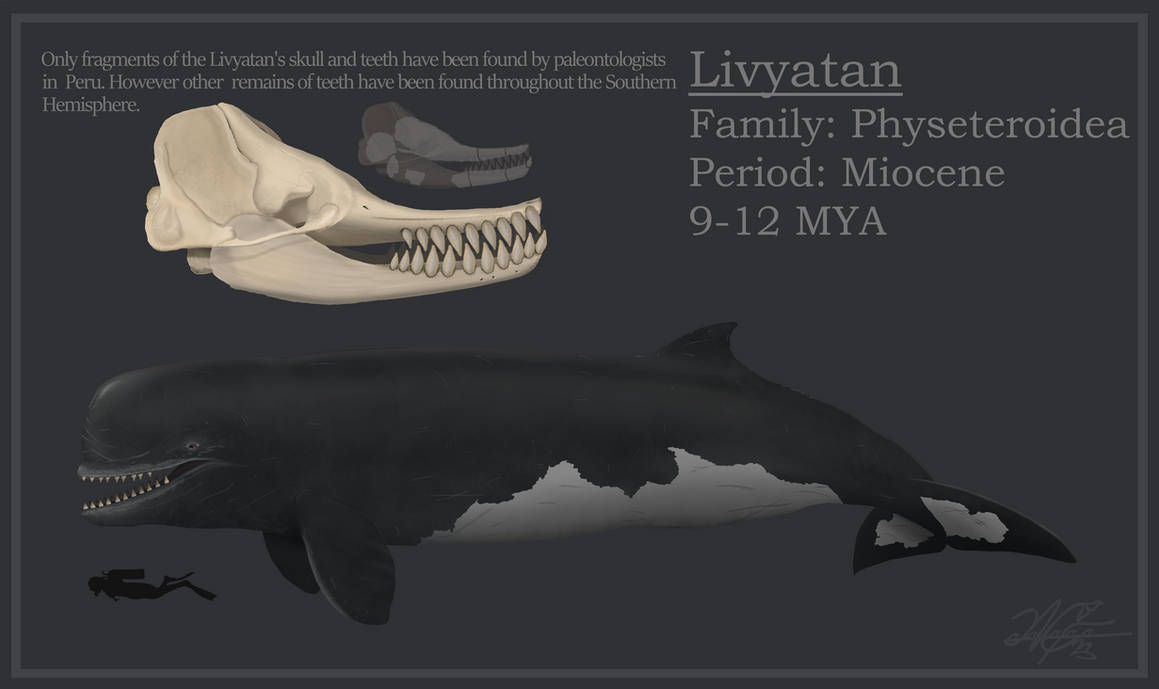 Livyatan By EvgeniH On DeviantArt livyatan-by-evgenih-on-deviantart