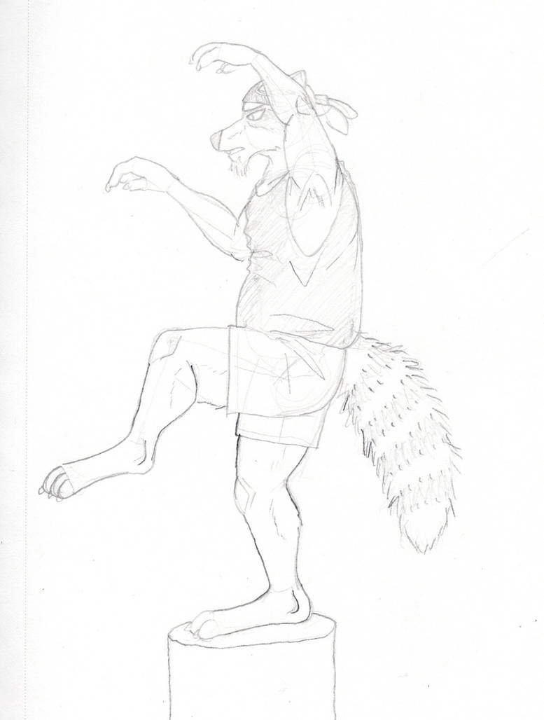 Karate Kick Racoon The Karate Coon by Salvestro on DeviantArt