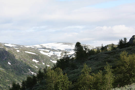 Norwegian nature 052