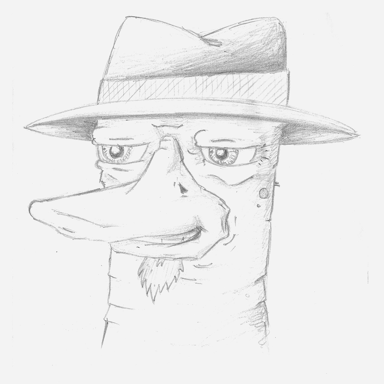 Old Perry the Platypus