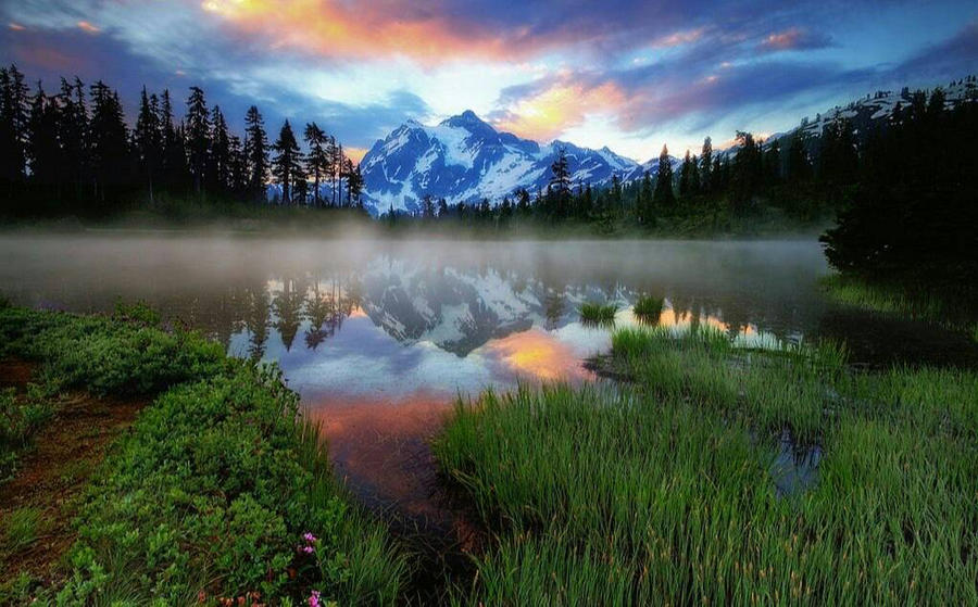 Forest,lake and colorful sky