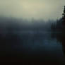 Foggy lake