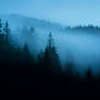 Night fog