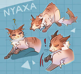 Nyaxa - Basic Refsheet by Nyaxa