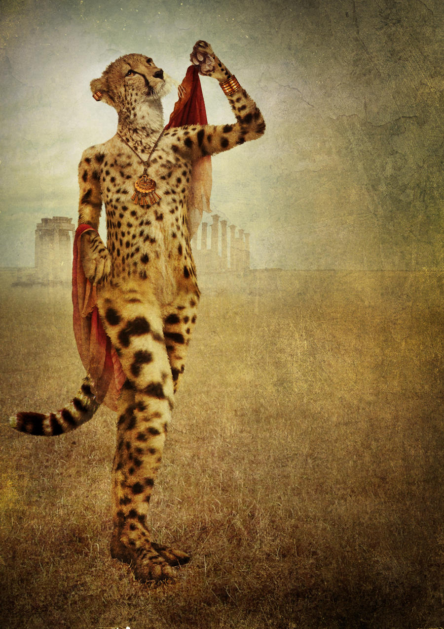 Cheetah Queen by Digimaree