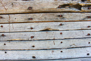 Old Wood and Bolts Texture 2