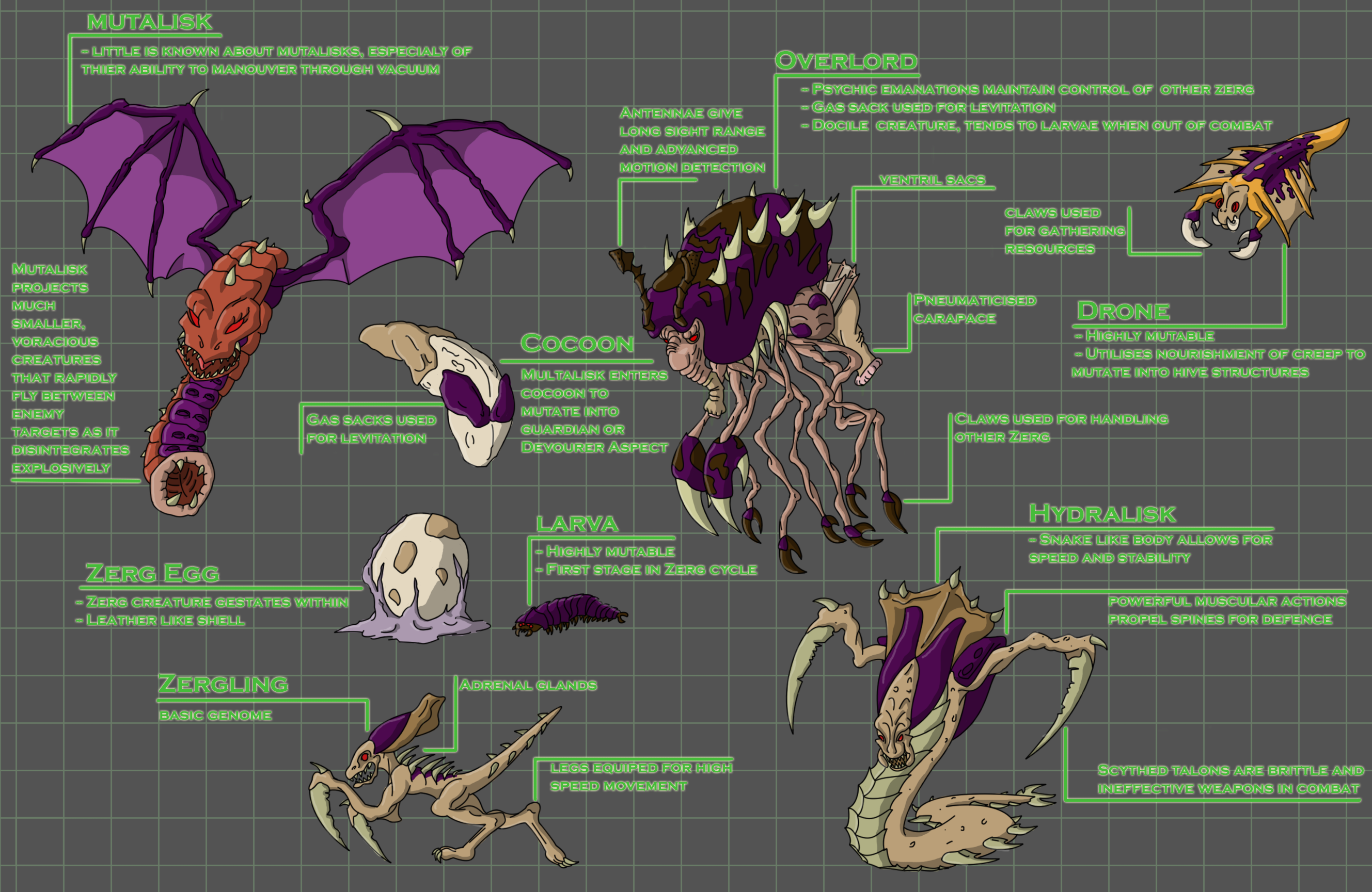 Zerg Inflation Zerg Fact Sheet by Morgoth883 on DeviantArt