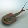Triops 2011012