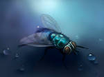 the blue fly by Trutze