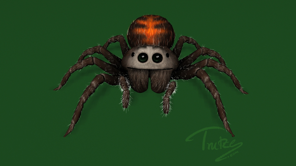 Spidy 3D