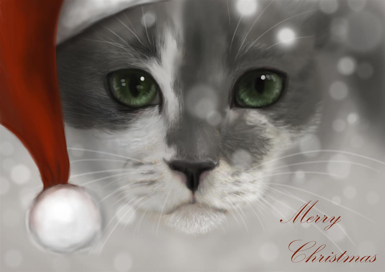 merry christmas 2013 by Trutze