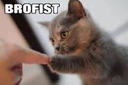 Brofist by AcePiltOver