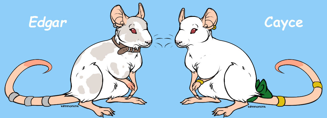 Jamie Lee Lewis' Rats by EchoesOfAnEnigma on DeviantArt