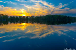 Fishpond II by Sigfodr