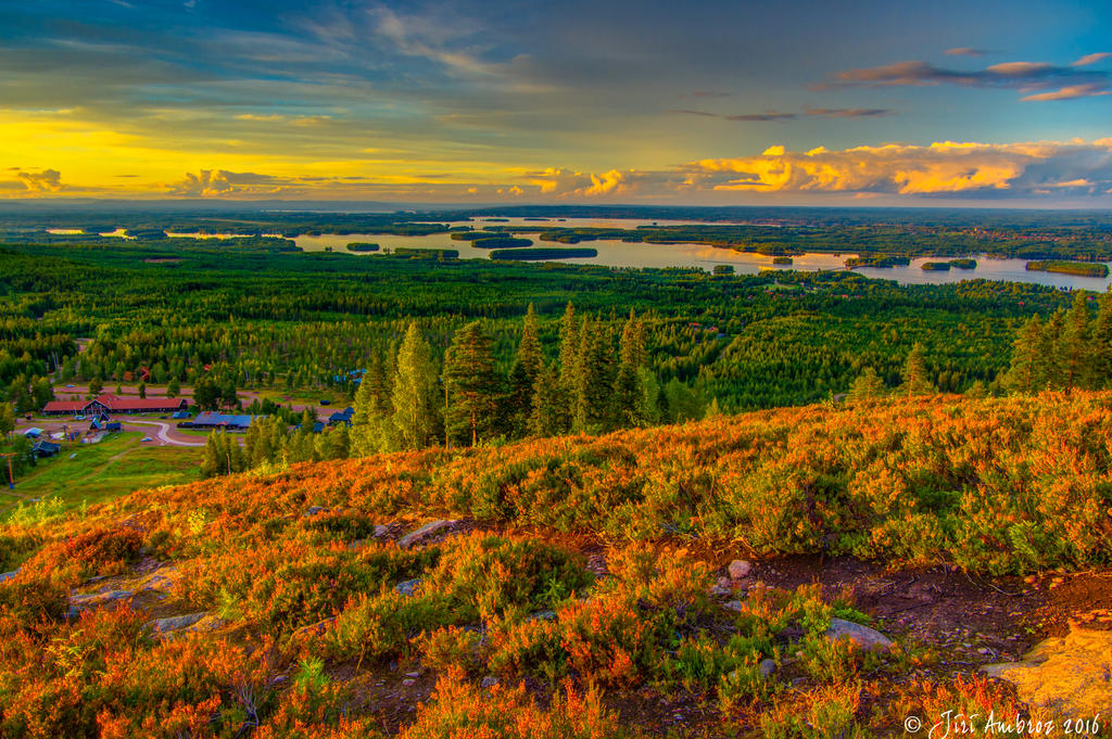 Of lakes and forests