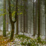 Transition