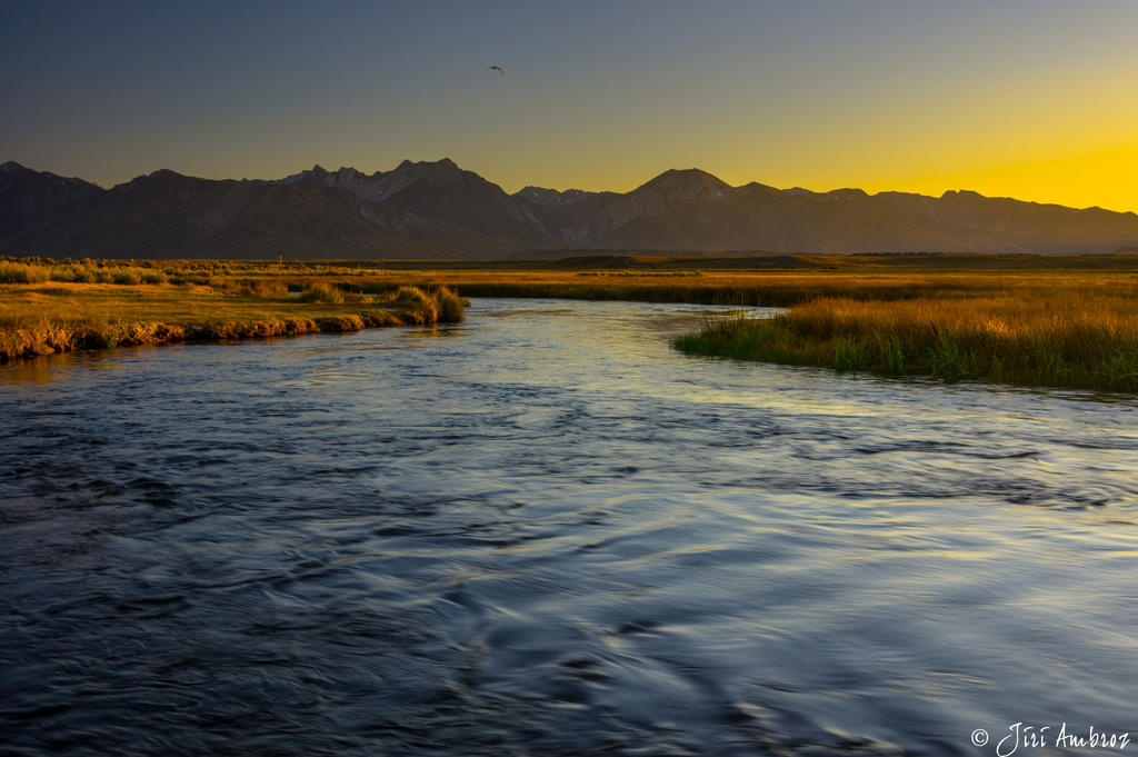 Fly away