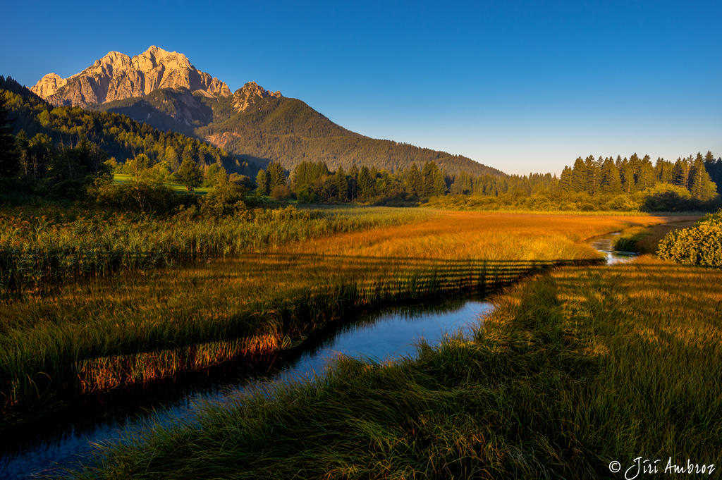 Meadow