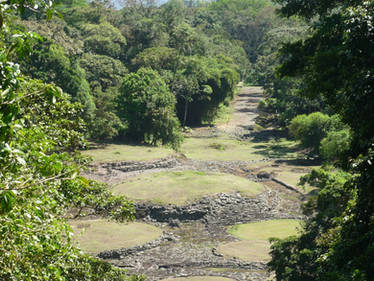 guayabo