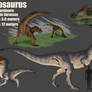 JWE: Archive 01 / Allosaurus