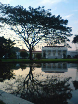 kebun raya bogor at afternoon