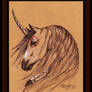 Native Unicorn Buckskin Mustang Horse Brown Bay